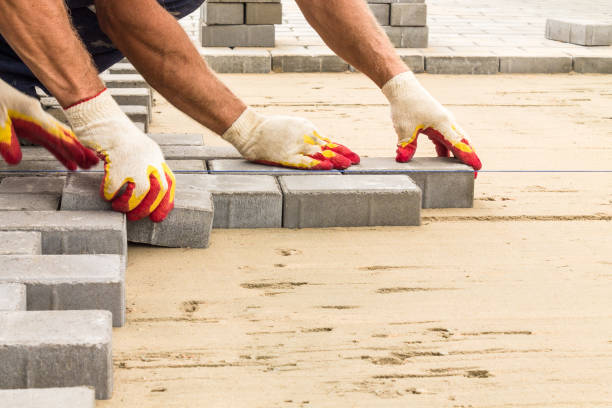 Best Driveway Repair Near Me  in Trinity, FL