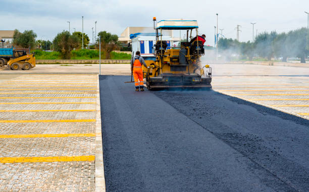 Best Concrete Paver Driveway  in Trinity, FL